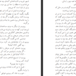 دانلود کتاب سرزمین جمیله احمد ضیا سیامک هروی