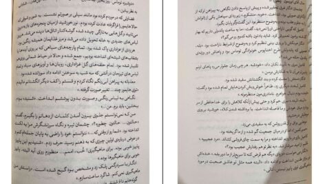 دانلود کتاب سرای نمک و اندوه ارین ای.کریج