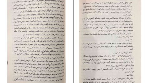 دانلود کتاب سرای نمک و اندوه ارین ای.کریج