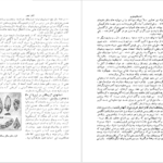 دانلود کتاب سرگذشت تمدن کارل بکر