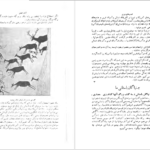 دانلود کتاب سرگذشت تمدن کارل بکر