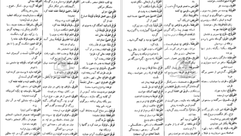 دانلود کتاب فرهنگ دانشگاهی المنجد الابجدی