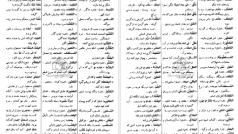 دانلود کتاب فرهنگ دانشگاهی المنجد الابجدی