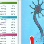 دانلود کتاب فاگوزیست یازدهم فردین جوادی