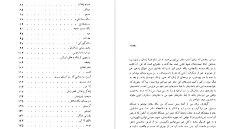 دانلود کتاب ظل الله رضا براهنی