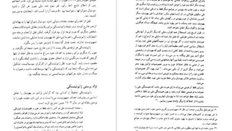 دانلود کتاب مشت آهنین لنی برنر