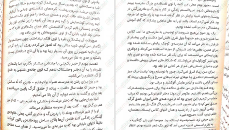 دانلود کتاب گرگ های پوشالی لارن ولک