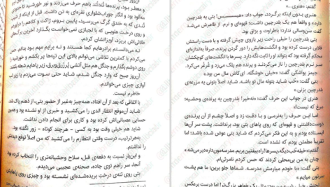 دانلود کتاب گرگ های پوشالی لارن ولک