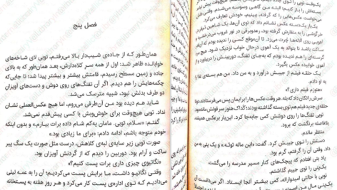 دانلود کتاب گرگ های پوشالی لارن ولک