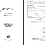 دانلود کتاب سرگشته راه حق نیکوس کازانتزاکیس