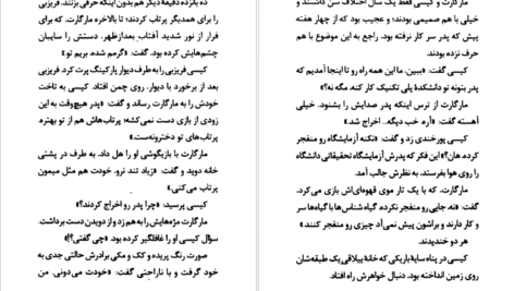 دانلود کتاب به زیرزمین نزدیک نشو آر. ال. استاین