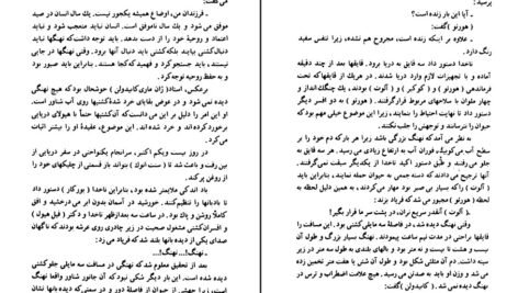 دانلود کتاب توفان یا هیولا ژول ورن