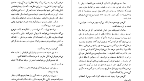 دانلود کتاب شلغم میوه بهشته علی محمد افغانی
