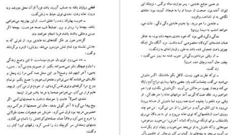 دانلود کتاب شلغم میوه بهشته علی محمد افغانی
