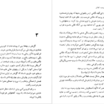 دانلود کتاب شلغم میوه بهشته علی محمد افغانی