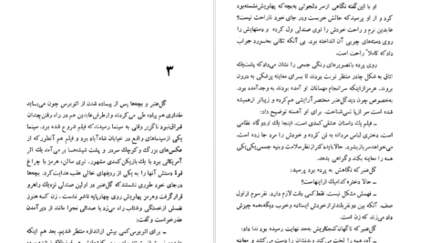 دانلود کتاب شلغم میوه بهشته علی محمد افغانی