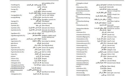 دانلود کتاب فرهنگ آلمانی فارسی فیروز ابراهیم نسبت