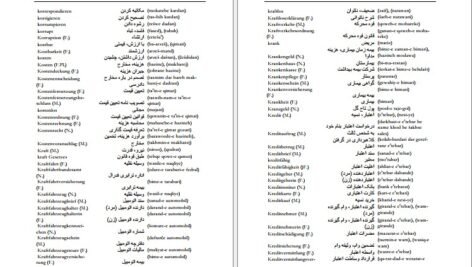دانلود کتاب فرهنگ آلمانی فارسی فیروز ابراهیم نسبت
