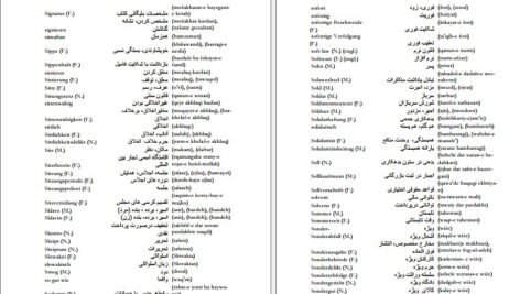 دانلود کتاب فرهنگ آلمانی فارسی فیروز ابراهیم نسبت