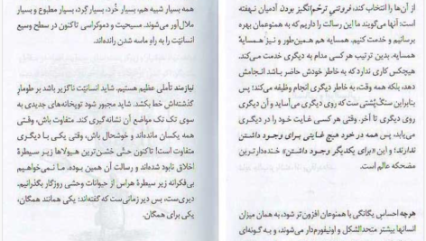 دانلود کتاب نیچه برای معاصران رودیگز زفرانسکی