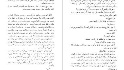 دانلود کتاب پرونده پلیکان جان گریشام